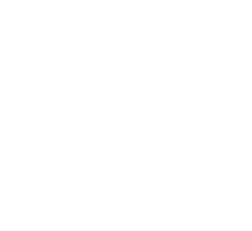 FELINO