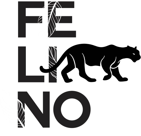 Felino